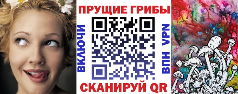 Галлюциногенные грибы Psilocybe Сибай